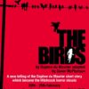 new-birds